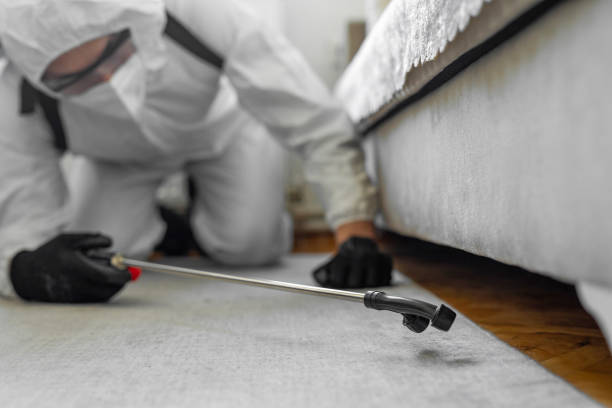 Professional Cockroach Control technician working in Coats, NC