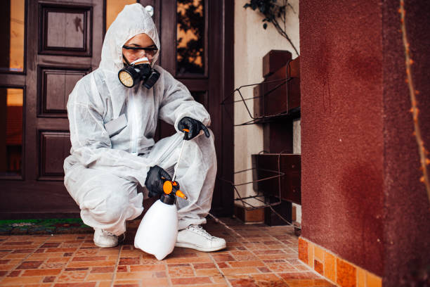 Reliable Cockroach Control contractor in Coats, NC by Nex Pest Control