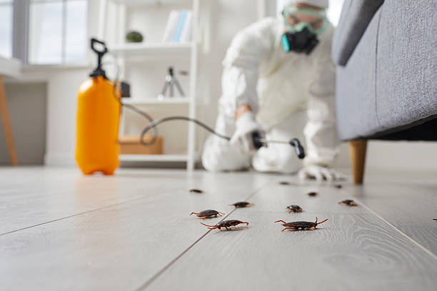 Affordable Cockroach Control solutions in Coats, NC